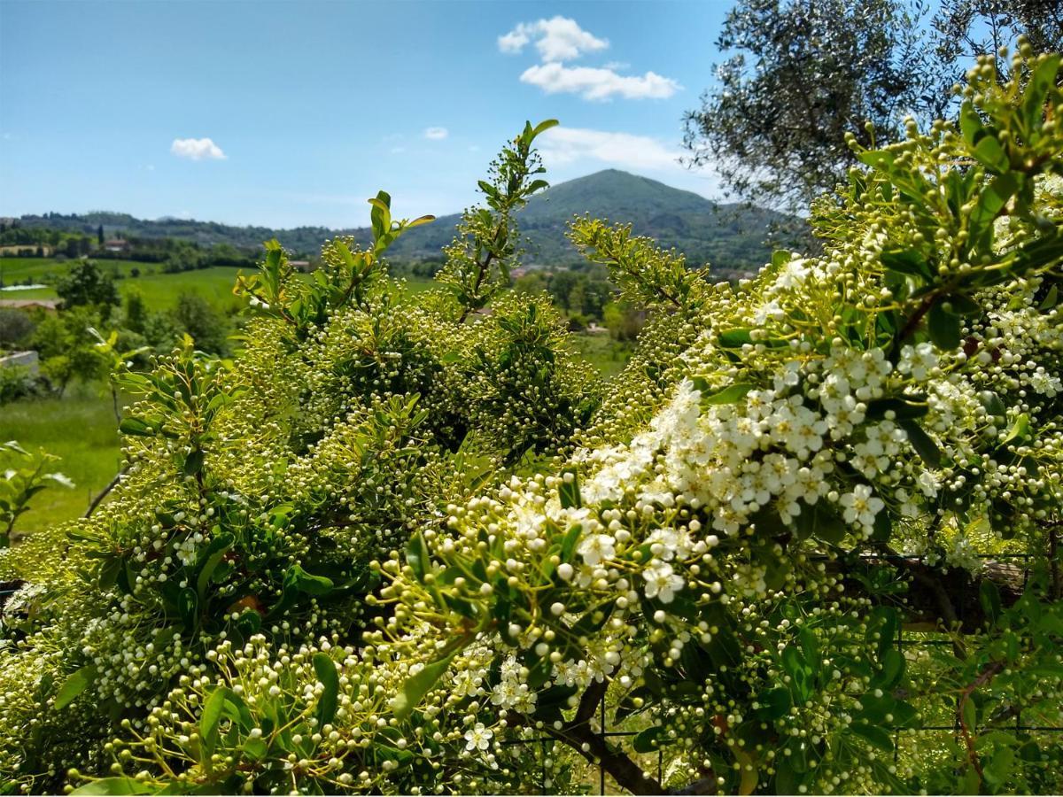 Le Piracante Caiazzo Экстерьер фото
